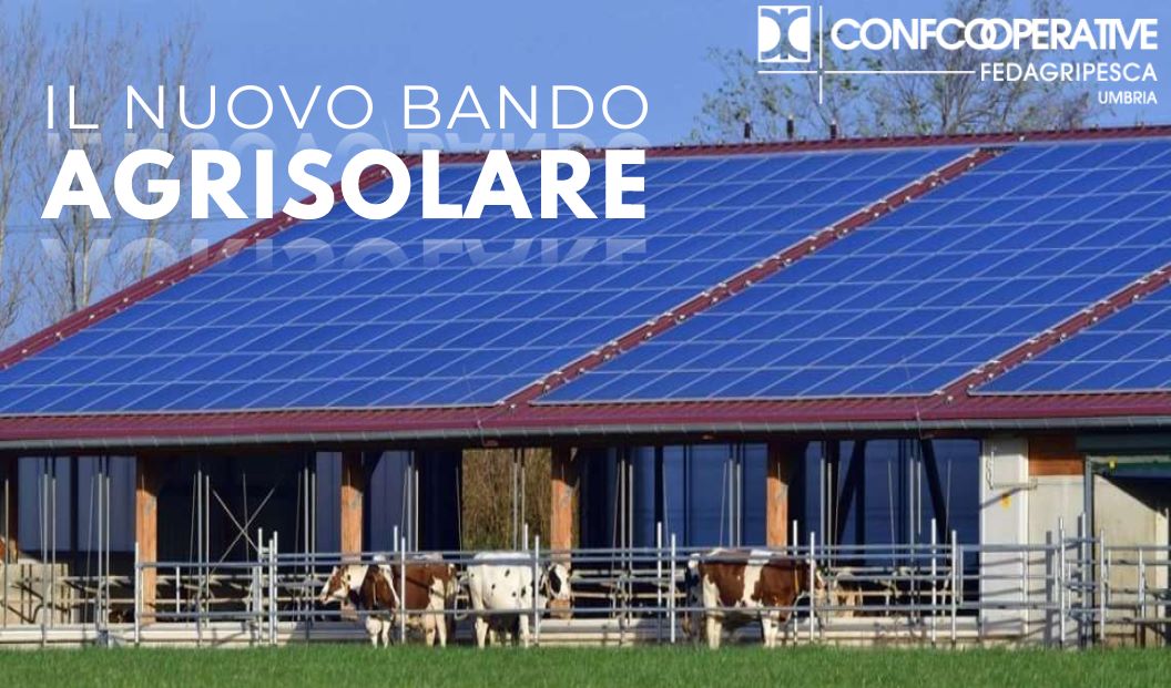 Al Via Il Nuovo Bando Agrisolare